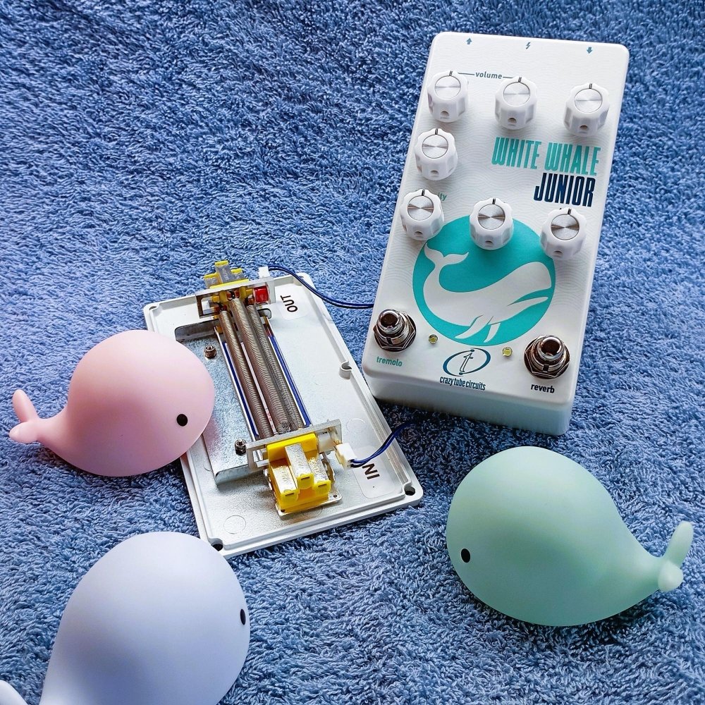 Crazy Tube Circuits White Whale JUNIOR Real Spring Reverb & Analog Tremolo - Image 2