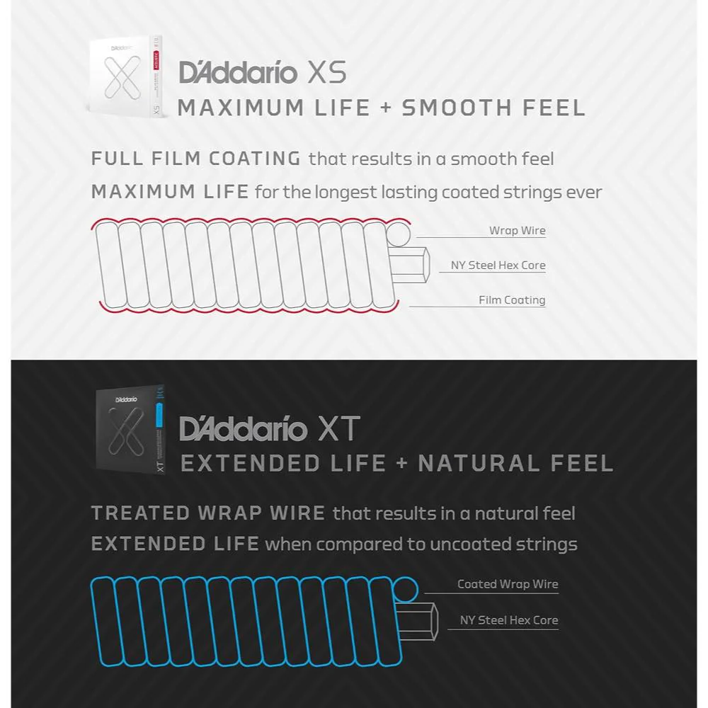 D'Addario XSAPB1253-B25 XS Coated Acoustic Phosphor Bronze Strings - Light (12-53) - 25-Set Bulk Box - Image 4