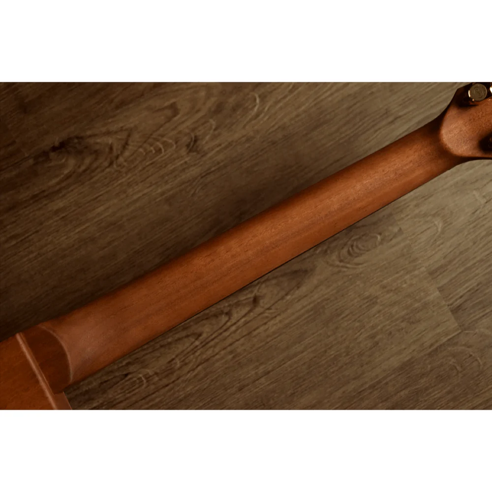 Healer Acoustic Custom Chamber Guitar HAC-2 NA - Image 5