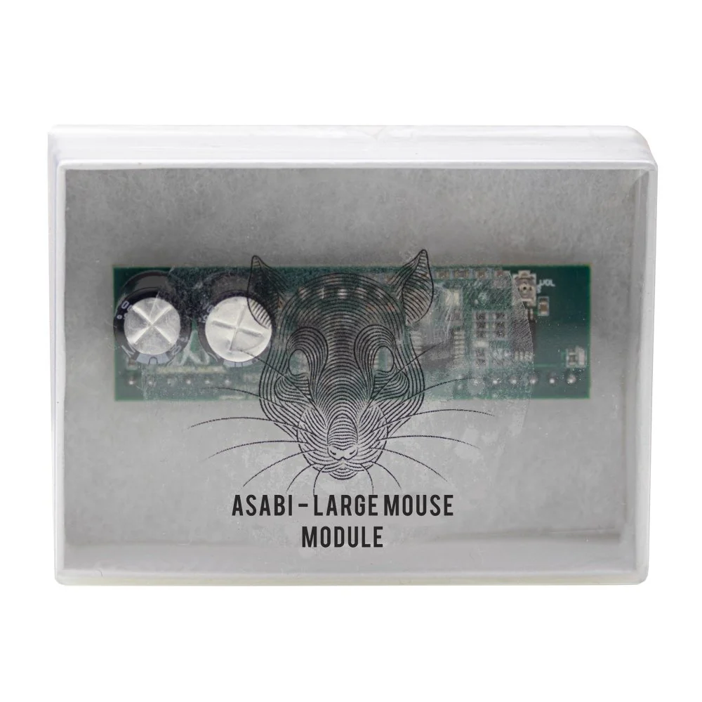 Jackson Audio ASABI World's First Modular Distortion Overdrive Mateus Asato Signature - Image 6