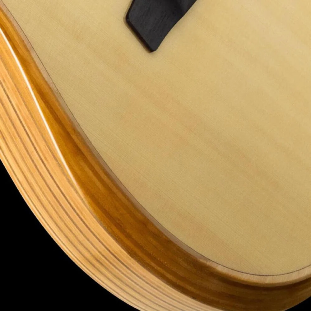 LR Baggs AEG-1 Acoustic Electric Guitar Engelmann Spruce Top w/ HiFi Duet Pickup & Softshell Gigbag - Image 10