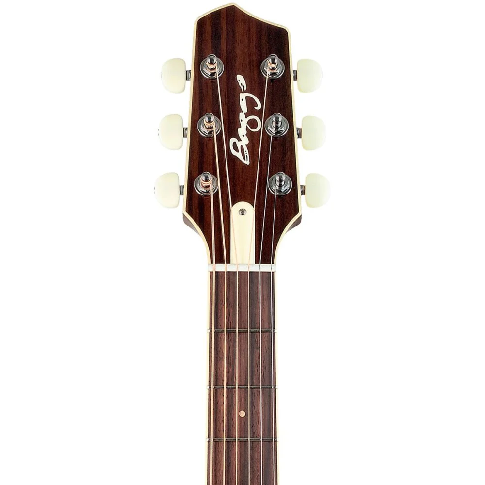 LR Baggs AEG-1 Acoustic Electric Guitar Engelmann Spruce Top w/ HiFi Duet Pickup & Softshell Gigbag - Image 3