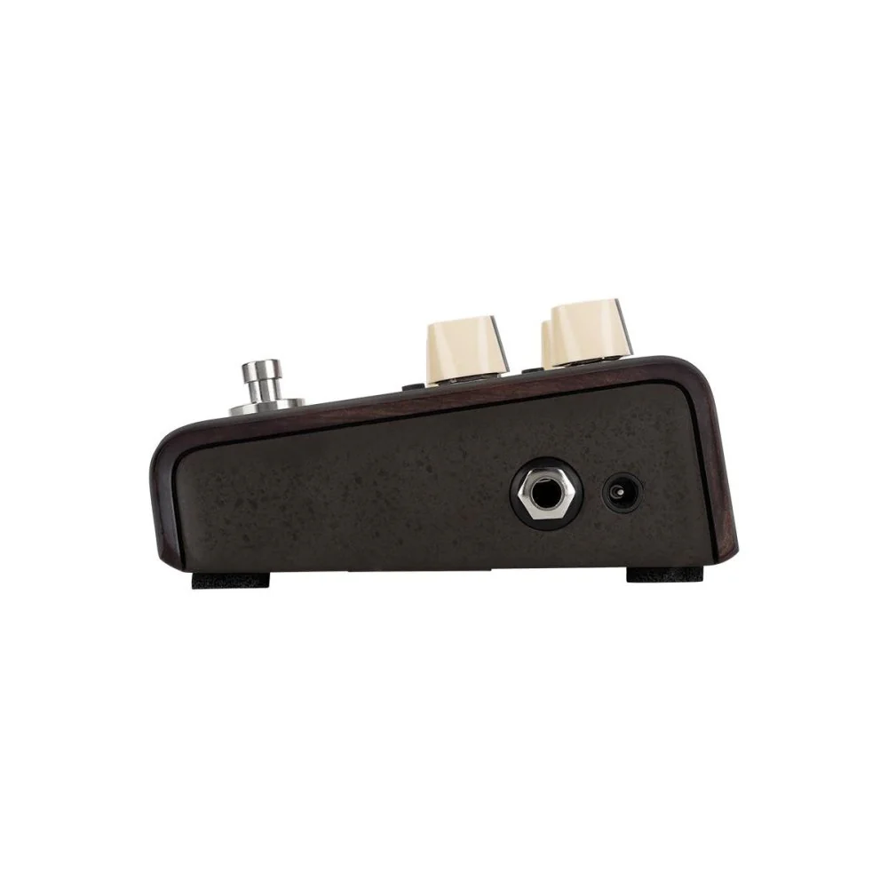 LR Baggs Align Series DELAY Voiced for Acoustic Instruments - Image 6