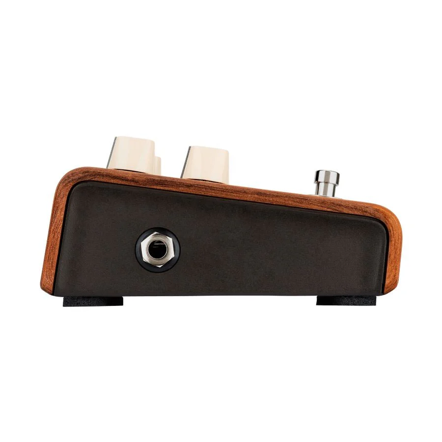 LR Baggs Align Series REVERB Voiced for Acoustic Instruments - Image 5