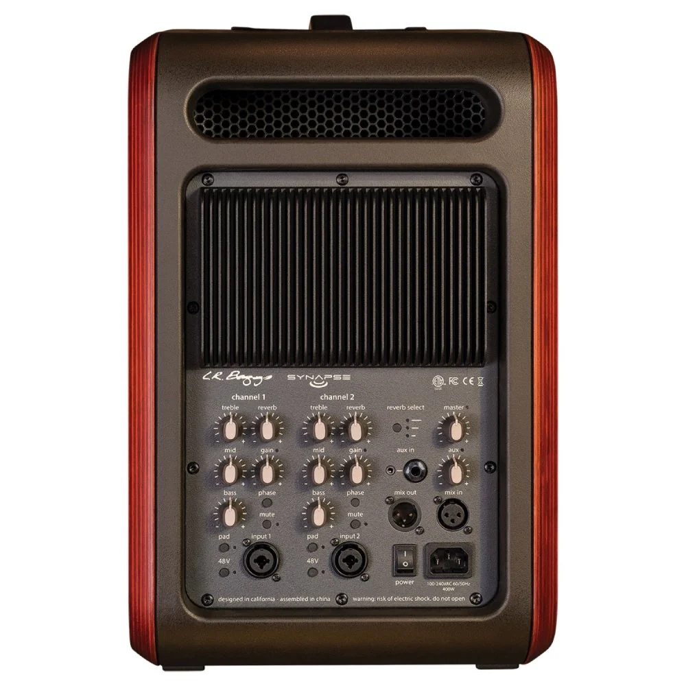 LR Baggs SYNAPSE 2CH Personal PA System w/ 180 Degree Waveform Tech - Image 3