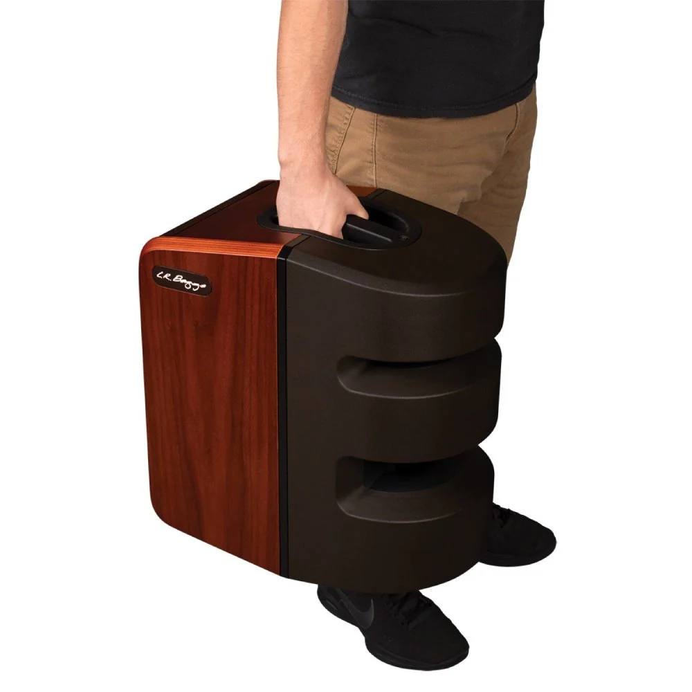 LR Baggs SYNAPSE 2CH Personal PA System w/ 180 Degree Waveform Tech - Image 5
