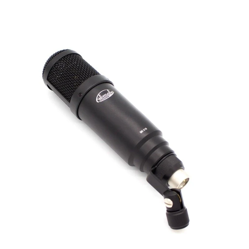 Oktava MK-319 Large-Diaphragm Multi-Purpose Condenser Microphone - Image 3