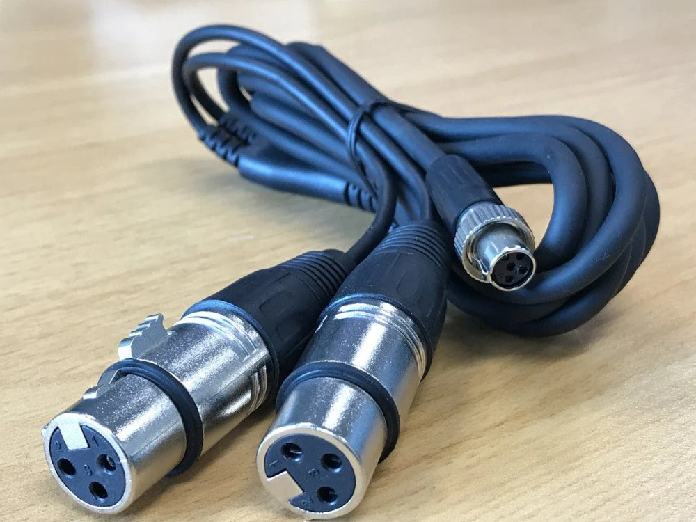 PreSonus 5-Pin Mini XLR to Dual XLR Female Y-Cable For HP2 Headphone Amp - Image 2