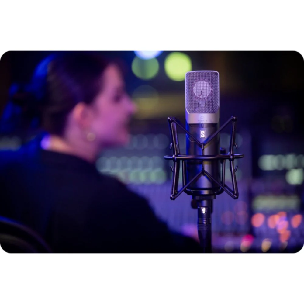 Slate Digital ML-1A V2 Modeling Condenser Microphone - Image 10