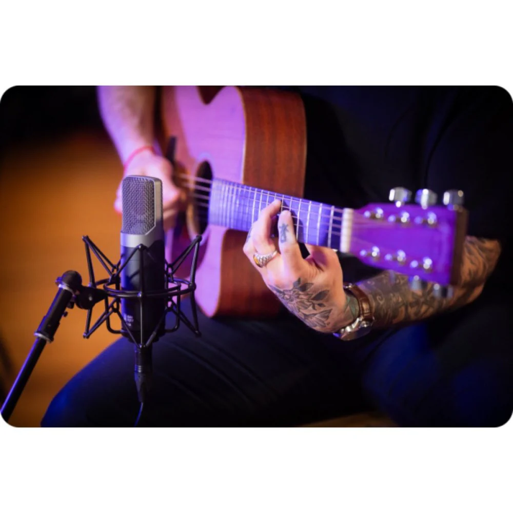 Slate Digital ML-1A V2 Modeling Condenser Microphone - Image 11