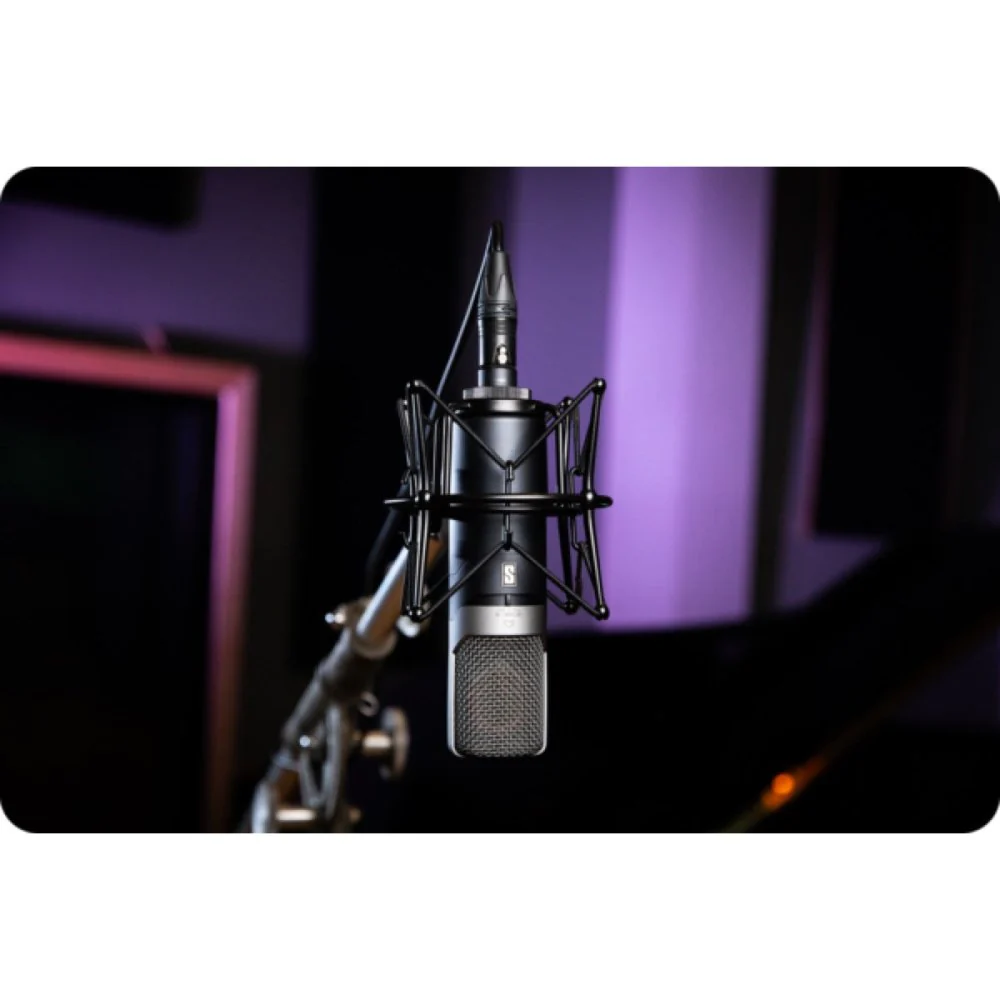 Slate Digital ML-1A V2 Modeling Condenser Microphone - Image 14
