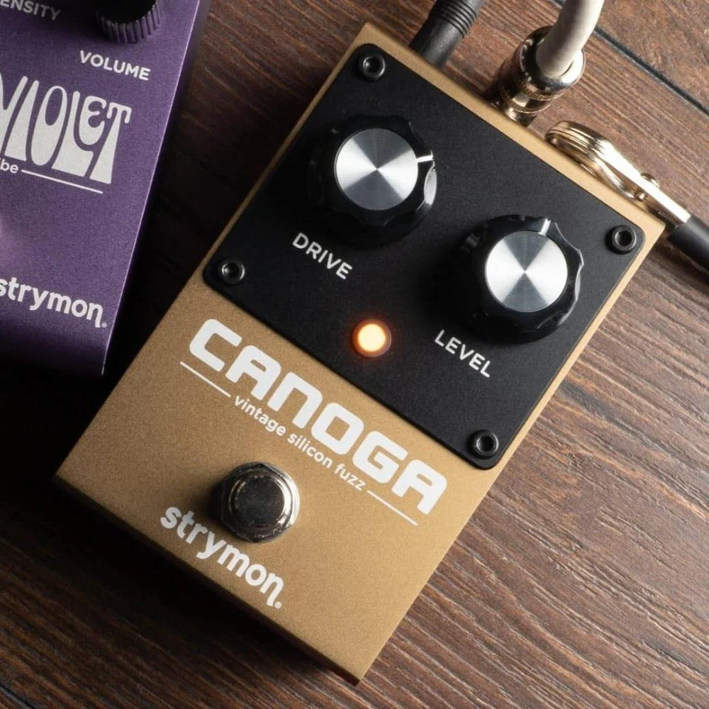 Strymon CANOGA Vintage Silicon Fuzz Inspired by FuzzFace - Image 3