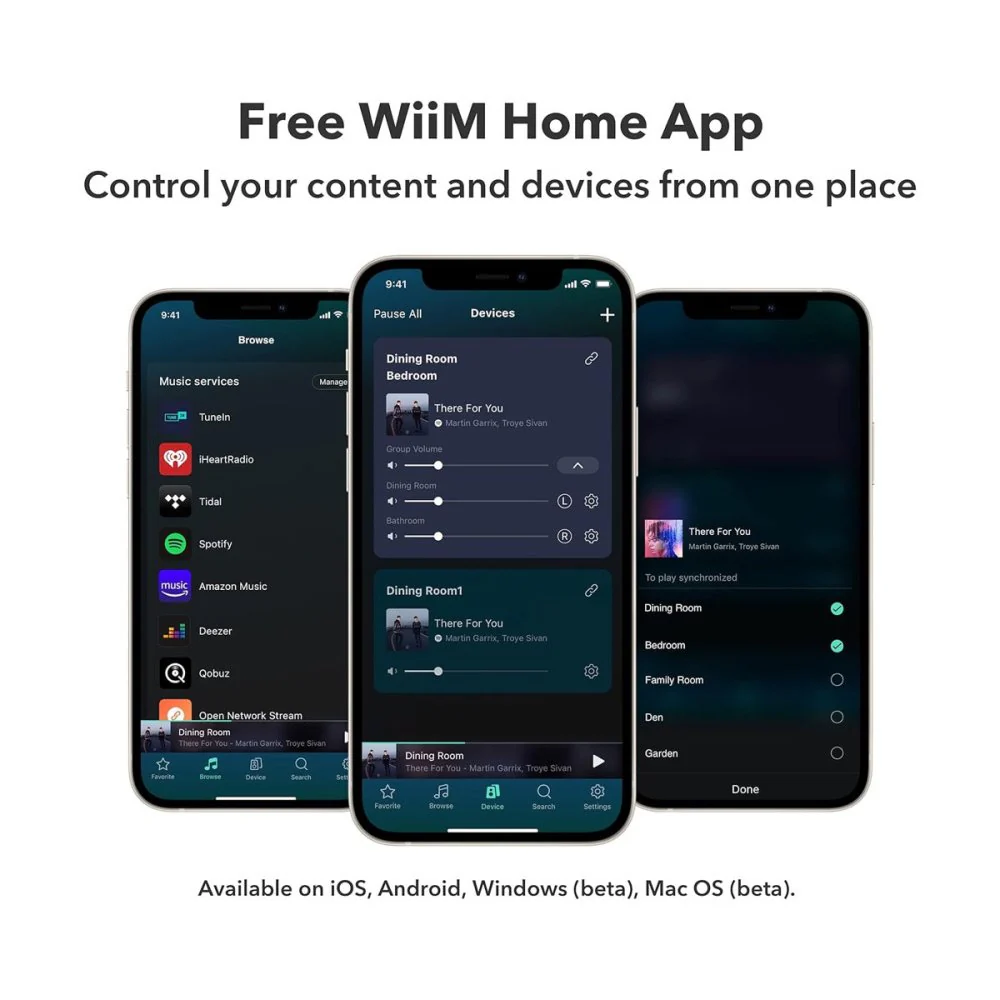 WiiM PRO AirPlay2 Wireless Audio Streamer & Chromecast w/ Siri & Alexa Hi-Res Audio from Spotify - Image 4