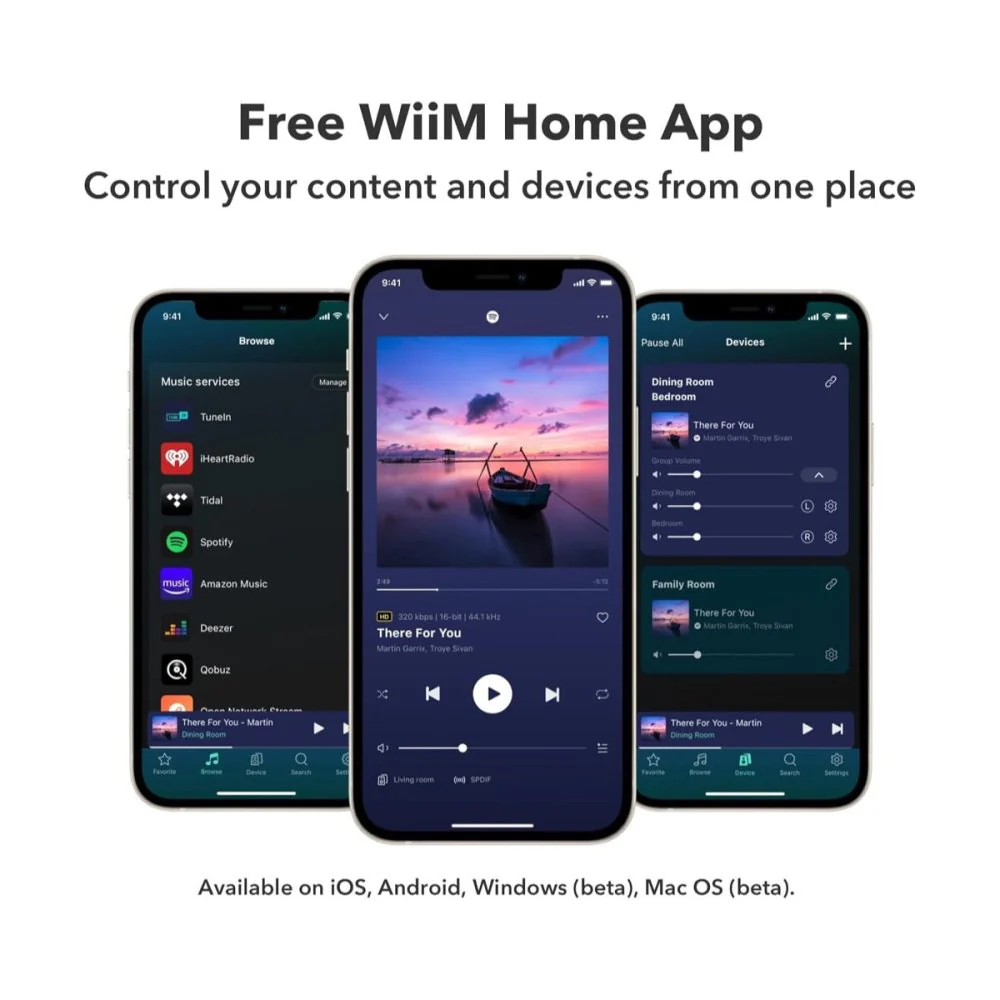 WiiM PRO PLUS AirPlay2 Wireless Audio Streamer & Chromecast w/ AKM 4493SEQ DAC Hi-Res Audio from Spotify - Image 4