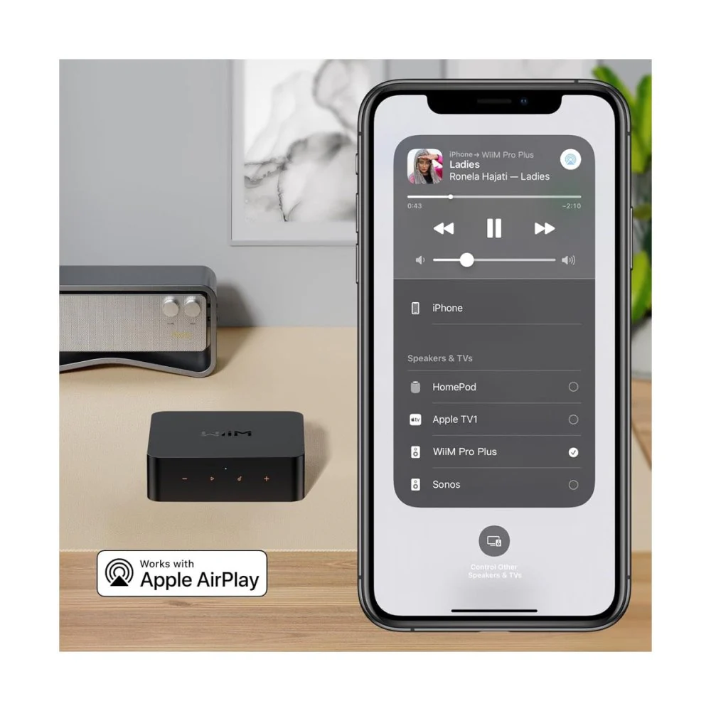 WiiM PRO PLUS AirPlay2 Wireless Audio Streamer & Chromecast w/ AKM 4493SEQ DAC Hi-Res Audio from Spotify - Image 7